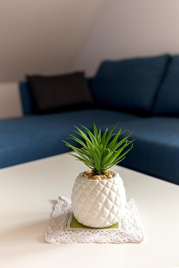 Apartmaji Rupnik Bohinjska Bistrica Buitenkant foto