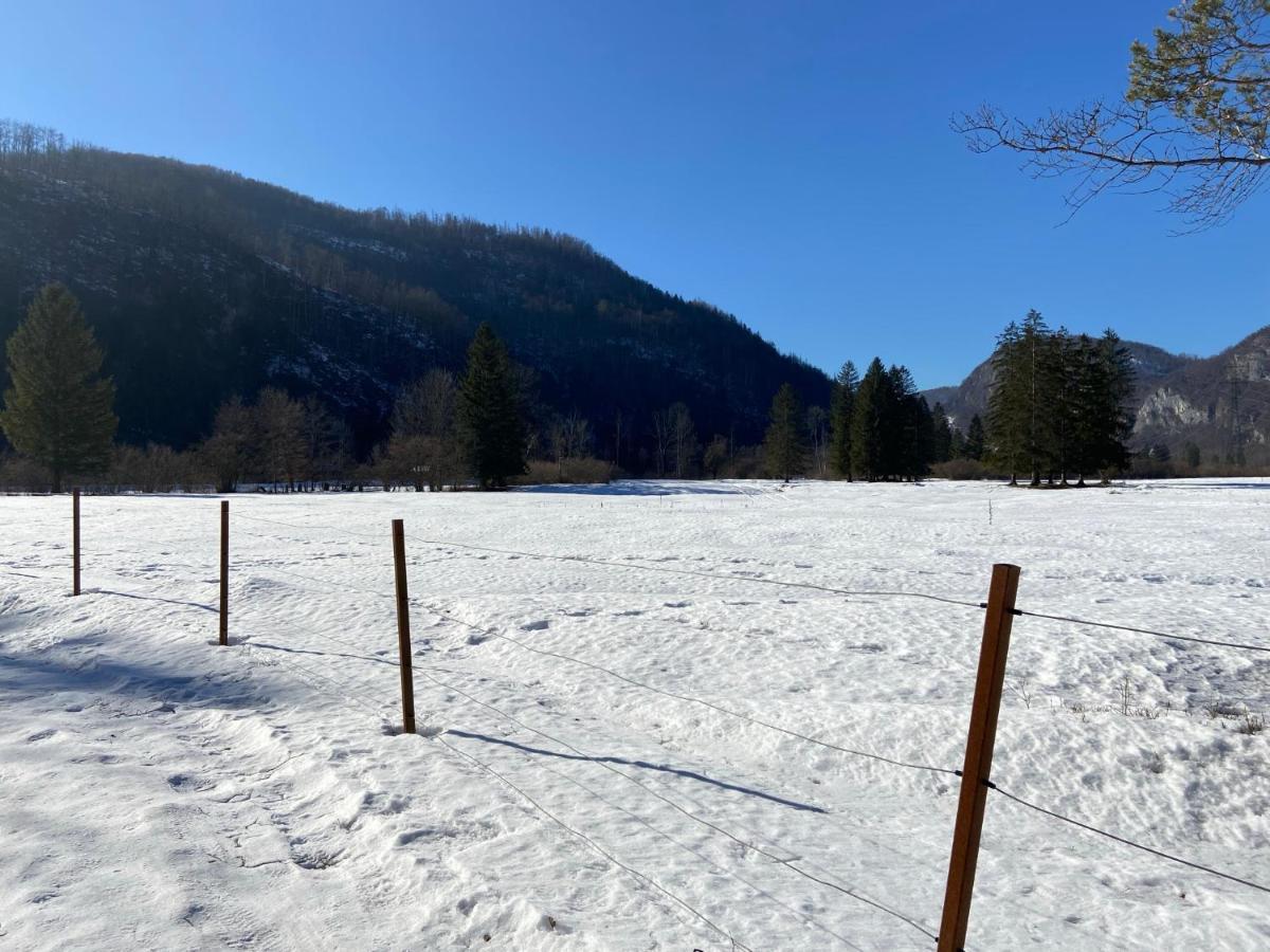 Apartmaji Rupnik Bohinjska Bistrica Buitenkant foto